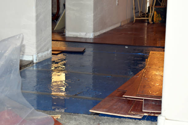 Professional Water Extraction technician working in Midland, OH